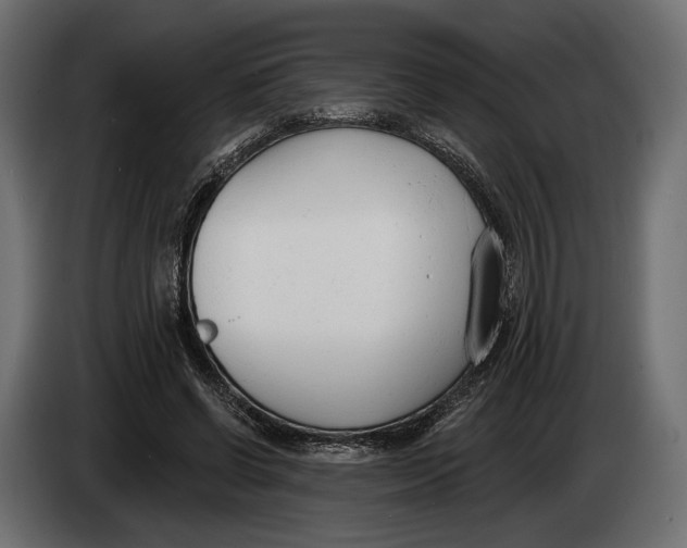 X0000083530542200703021555