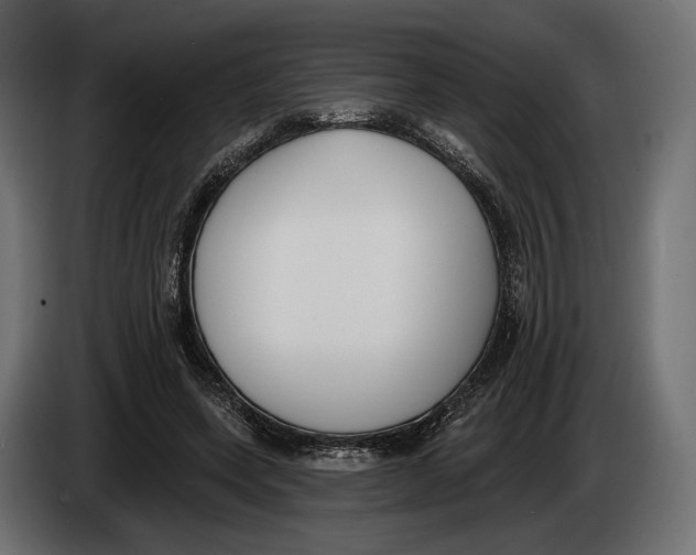 X0000083530543200703021555