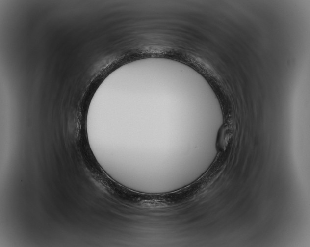 X0000083530544200703021555