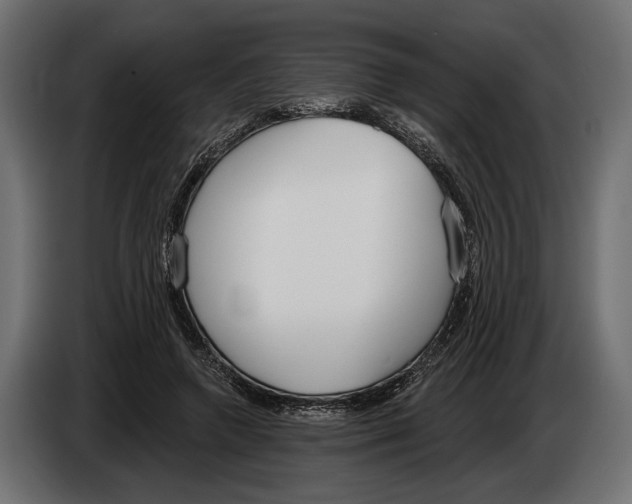 X0000083530546200703021555