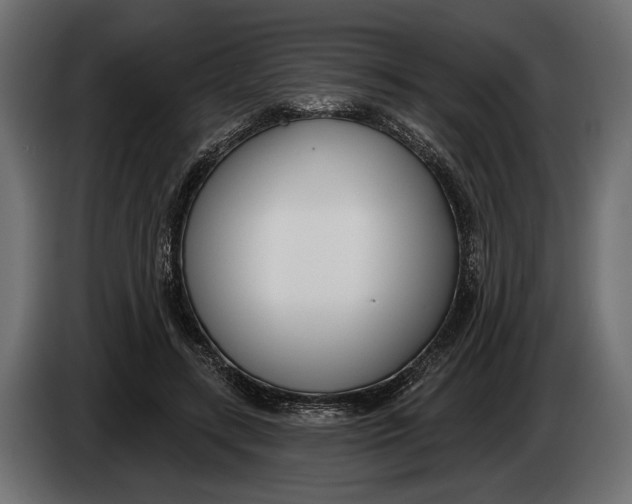 X0000083530547200703021555