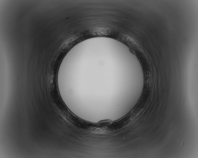 X0000083530548200703021555