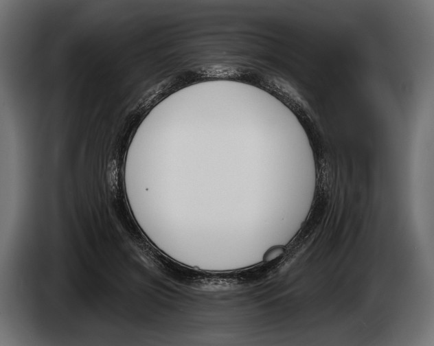 X0000083530549200703021555