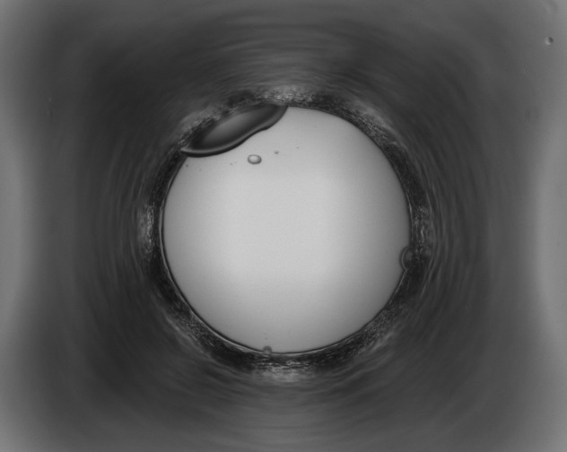 X0000083530550200703021555