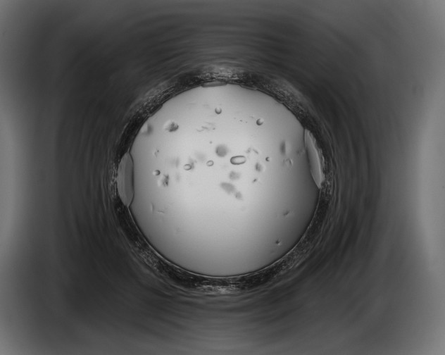 X0000083530552200703021555