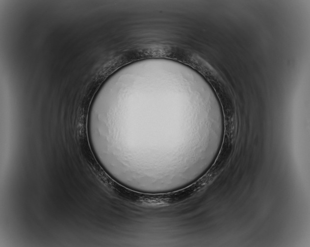 X0000083530553200703021555