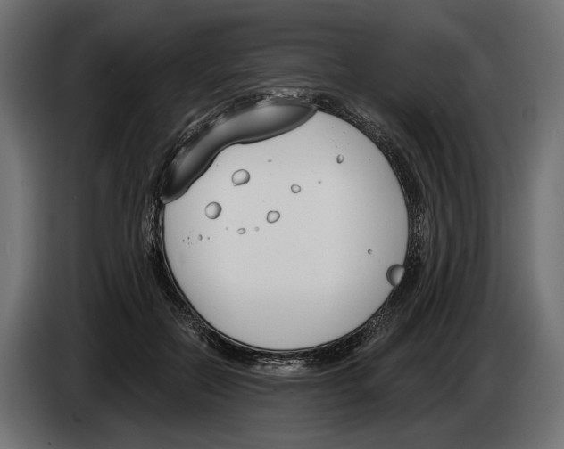 X0000083530554200703021555