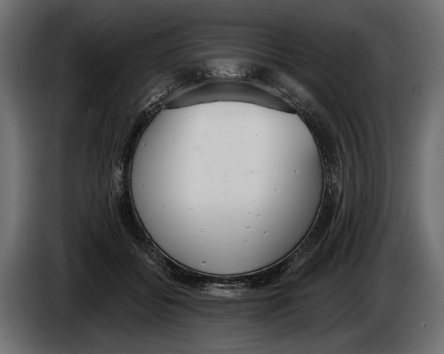 X0000083530556200703021555