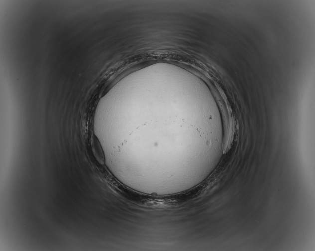 X0000083530558200703021555