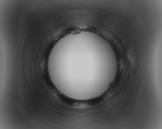 X0000083530559200703021555