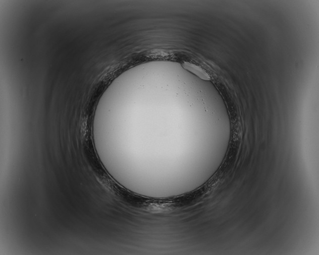 X0000083530560200703021555