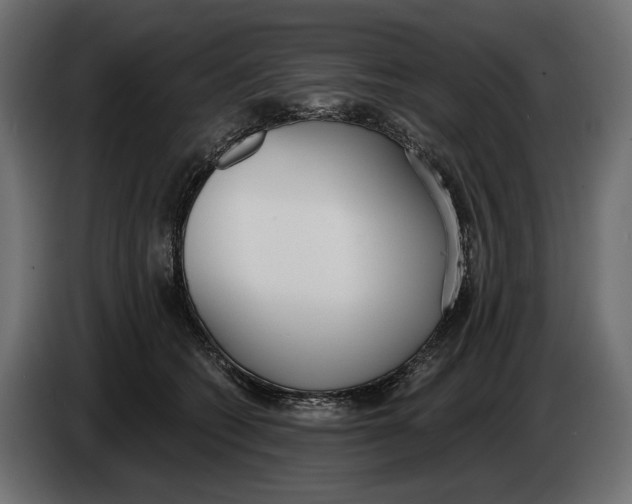 X0000083530562200703021555