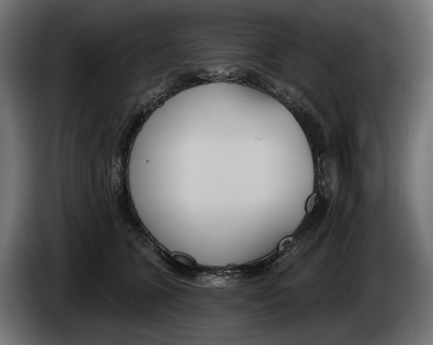 X0000083530563200703021555