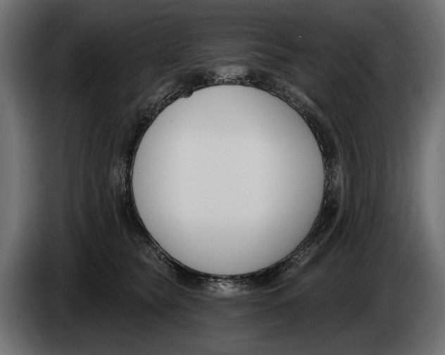 X0000083530565200703021555