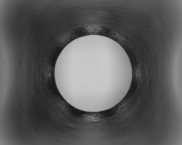 X0000083530567200703021555