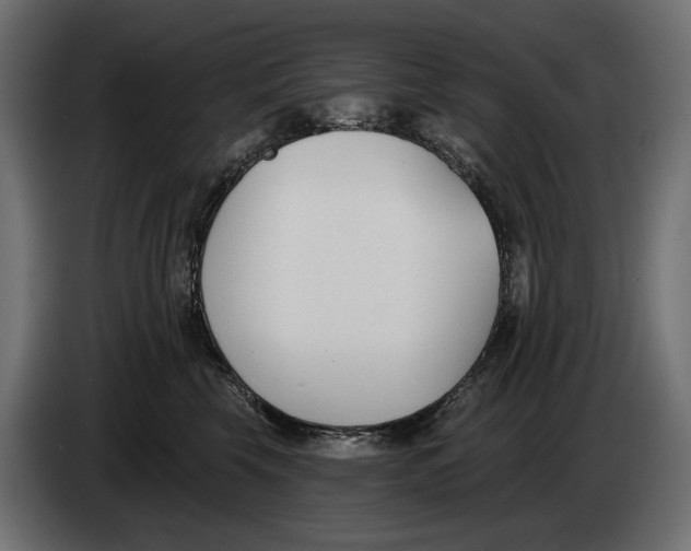 X0000083530569200703021555