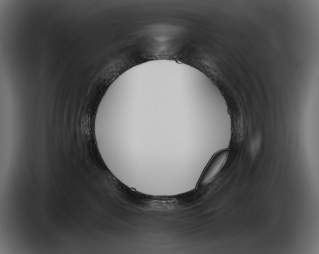 X0000083530571200703021555