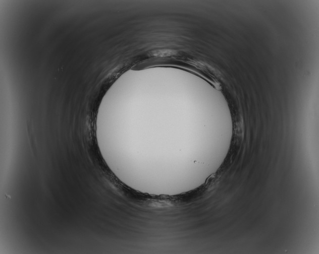 X0000083530572200703021555