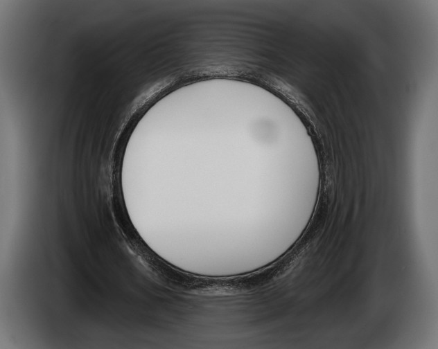 X0000083530578200703021555