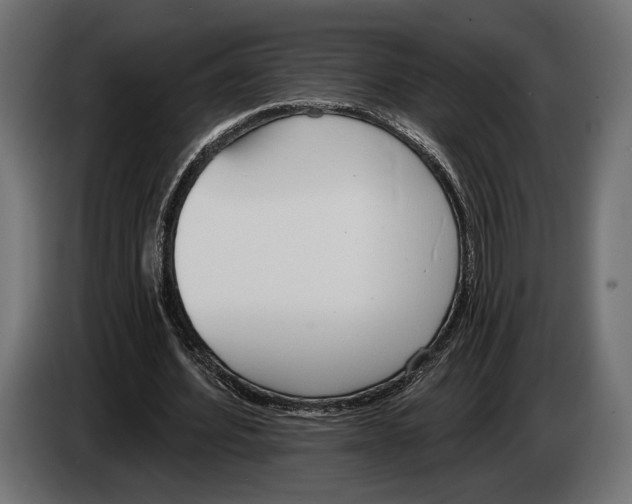 X0000083530580200703021555