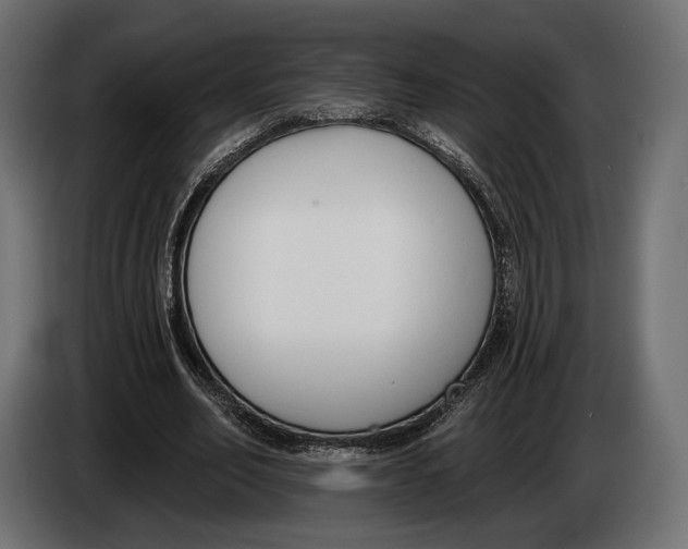 X0000083530582200703021555