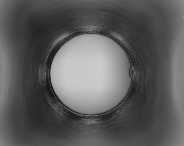 X0000083530583200703021555