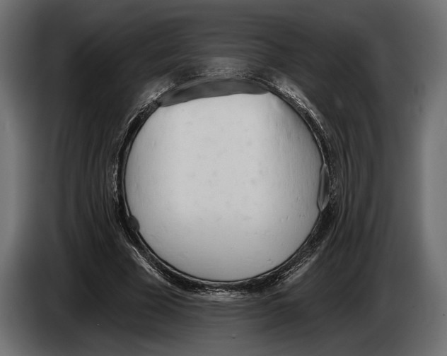 X0000083530585200703021555