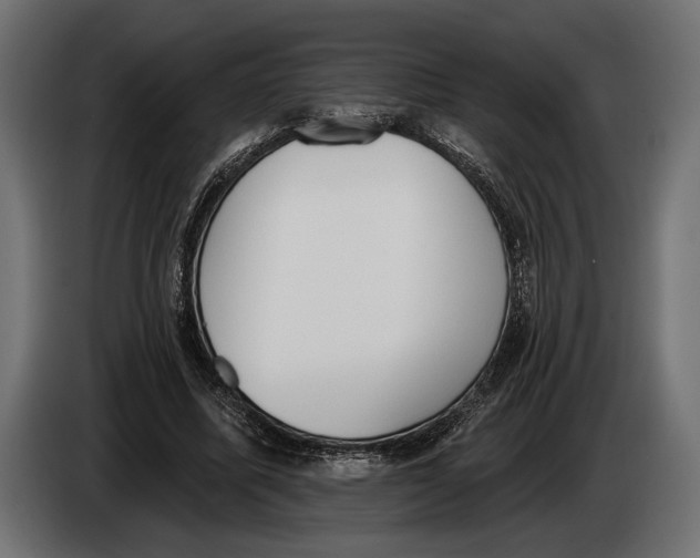 X0000083530587200703021555