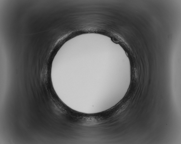 X0000083530588200703021554