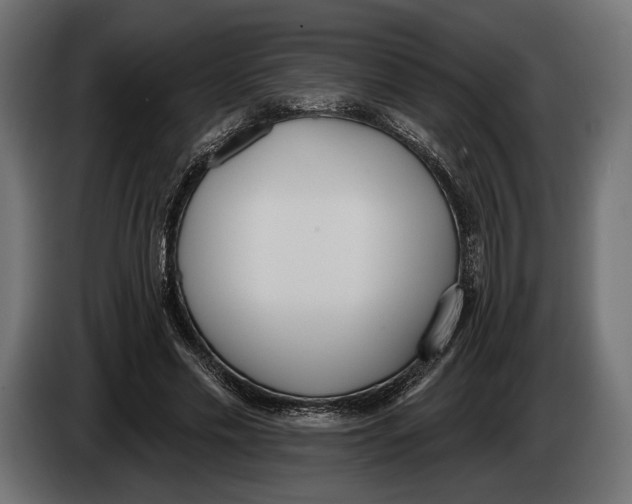 X0000083530589200703021554