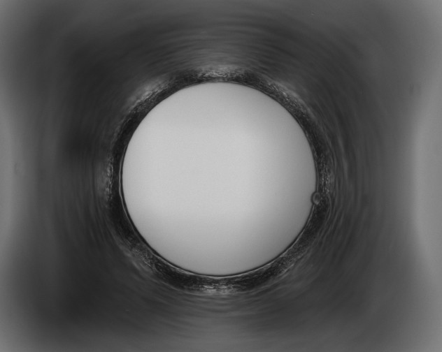 X0000083530591200703021554