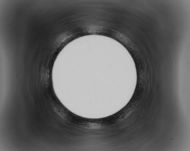 X0000083530592200703021554