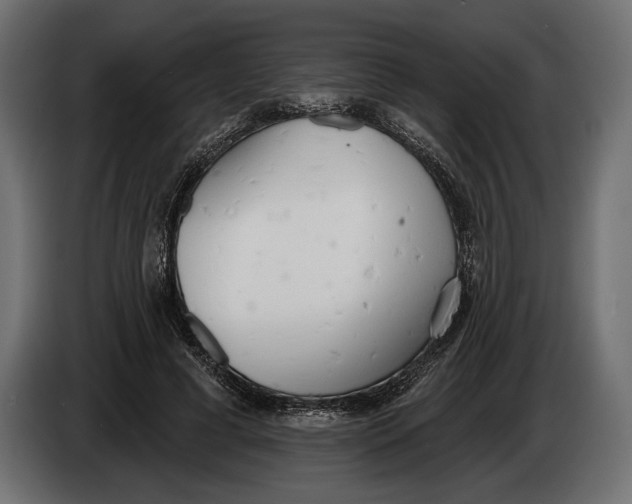 X0000083530593200703021554