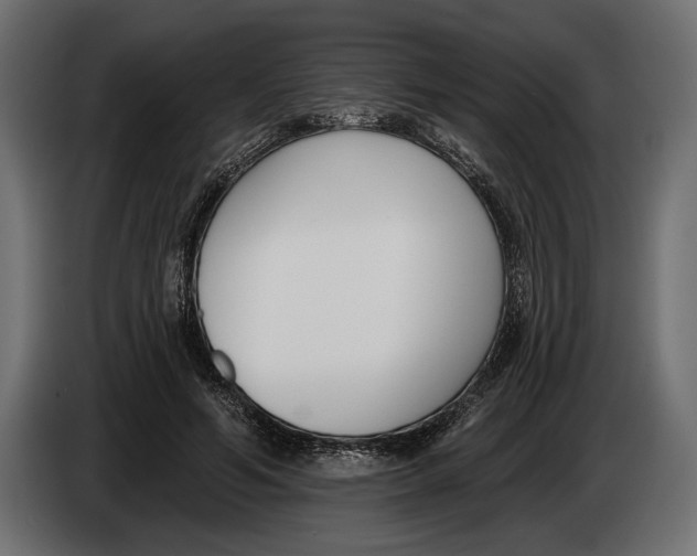 X0000083530594200703021554