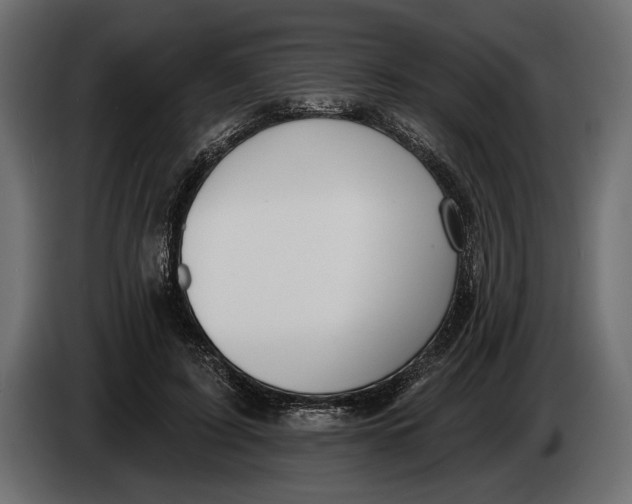 X0000083530595200703021554