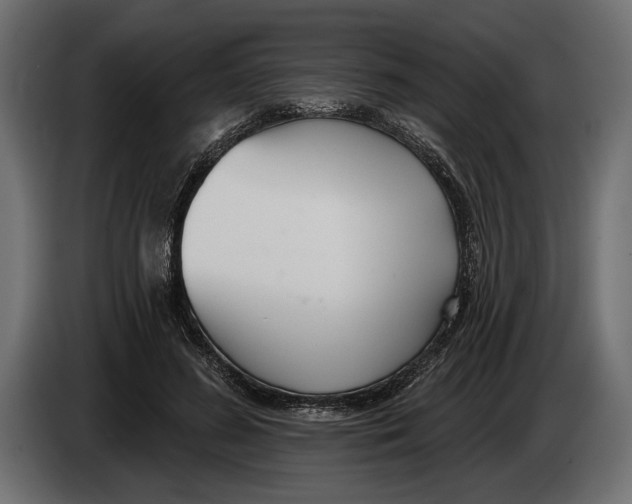 X0000083530596200703021554