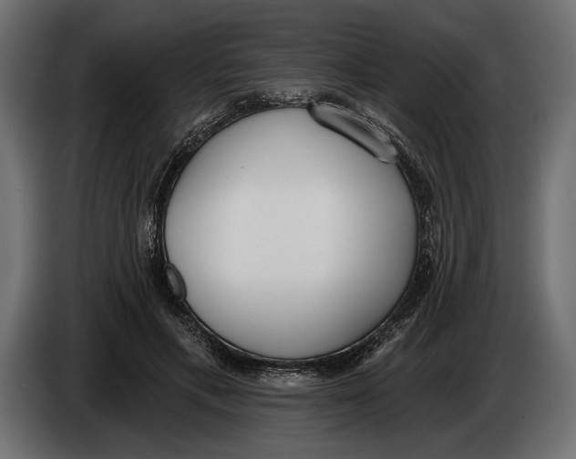 X0000083530597200703021554