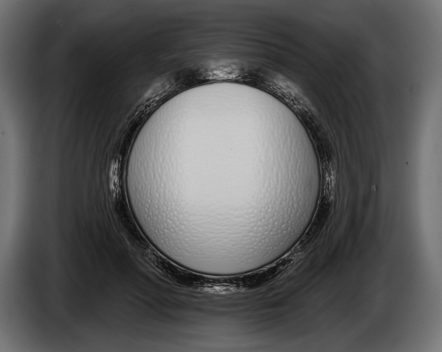 X0000083530598200703021554