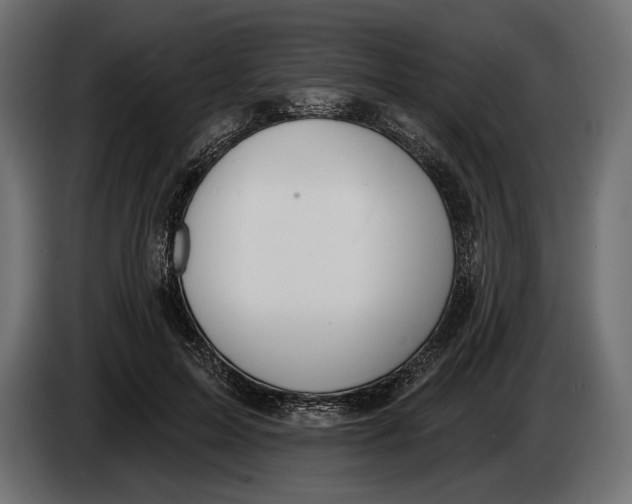 X0000083530599200703021554