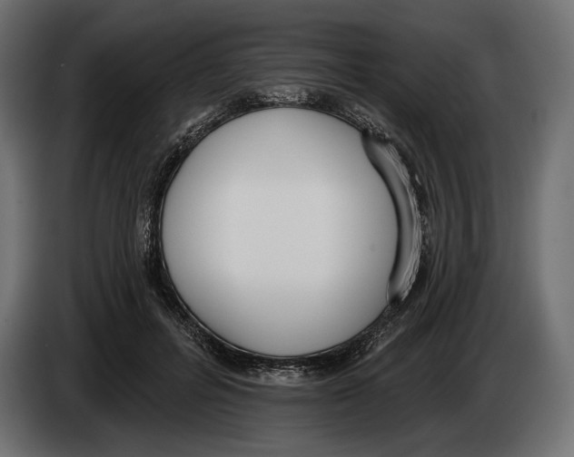 X0000083530600200703021554