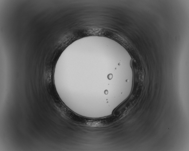 X0000083530602200703021554