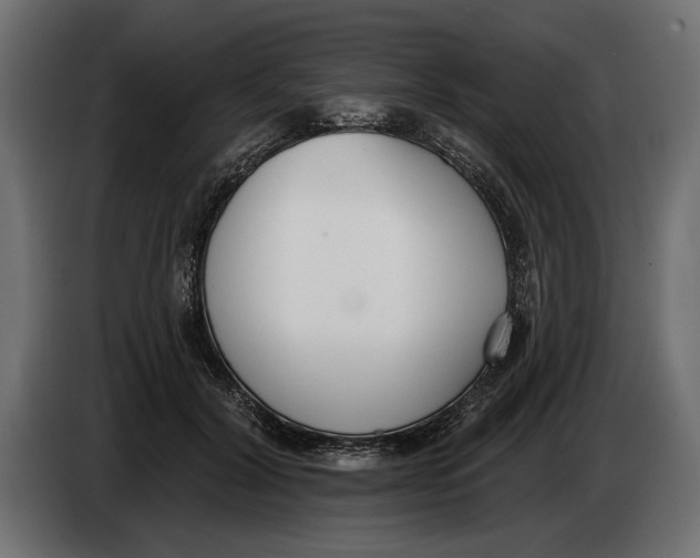 X0000083530604200703021554