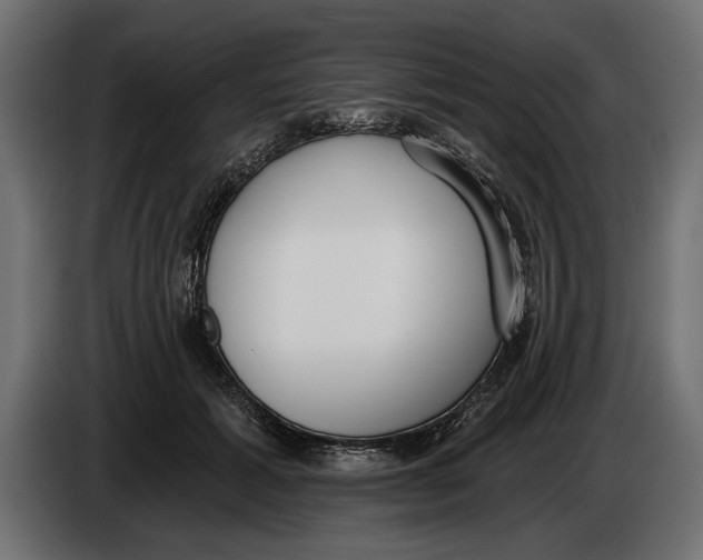 X0000083530605200703021554