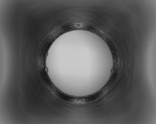 X0000083530606200703021554