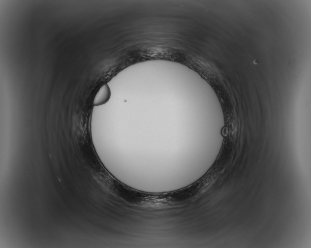 X0000083530607200703021554