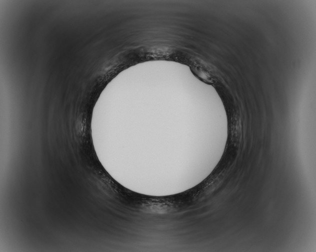 X0000083530608200703021554