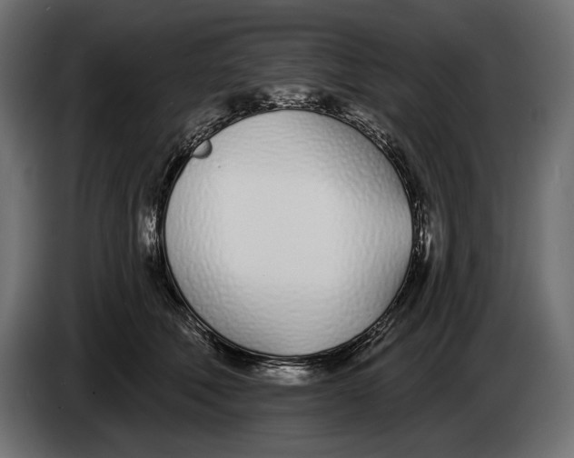 X0000083530610200703021554