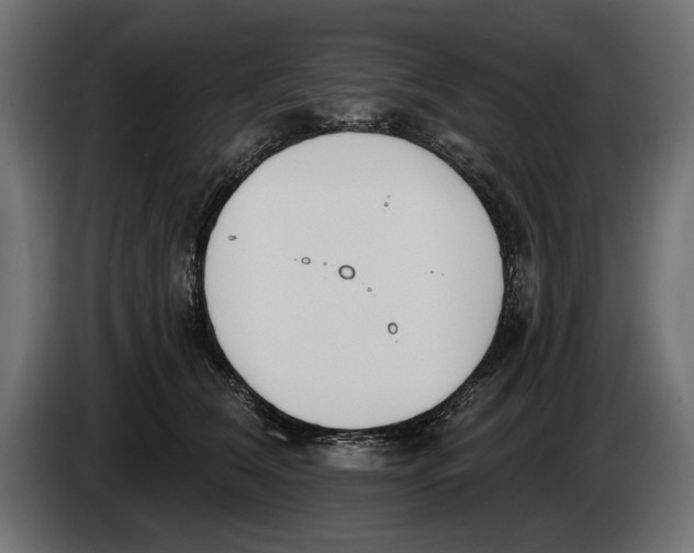 X0000083530612200703021554