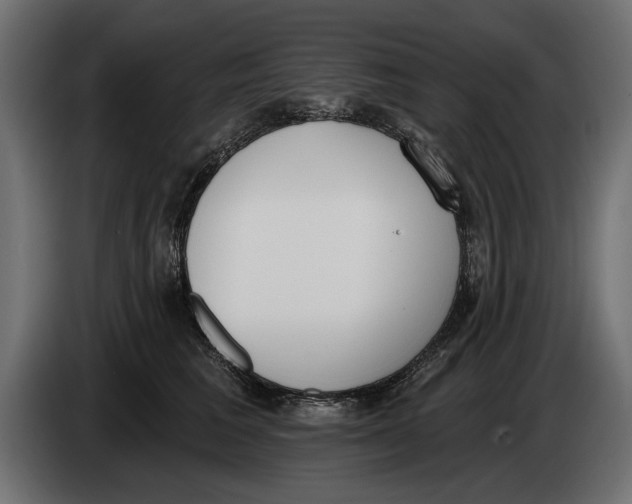 X0000083530613200703021554