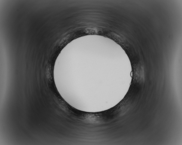 X0000083530616200703021554